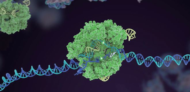 押寶CRISPR和人工智能！張澤民院士團隊的研究方向開始更新了！(圖2)