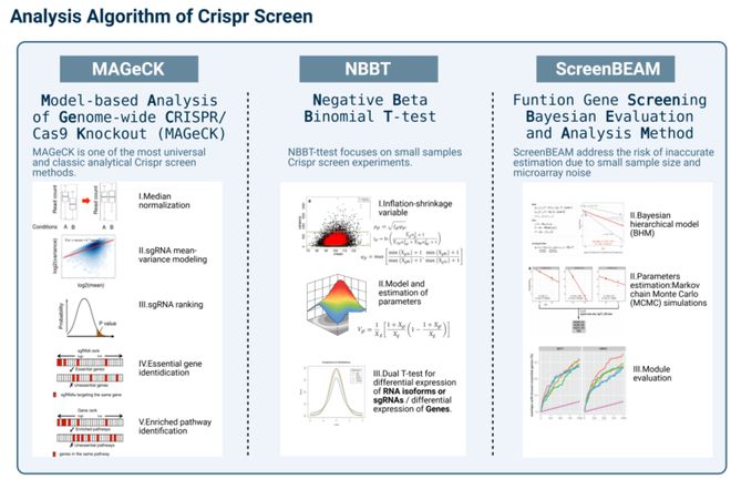 腫瘤CRISPRScreen在線平臺(tái)！重磅推薦！(圖5)